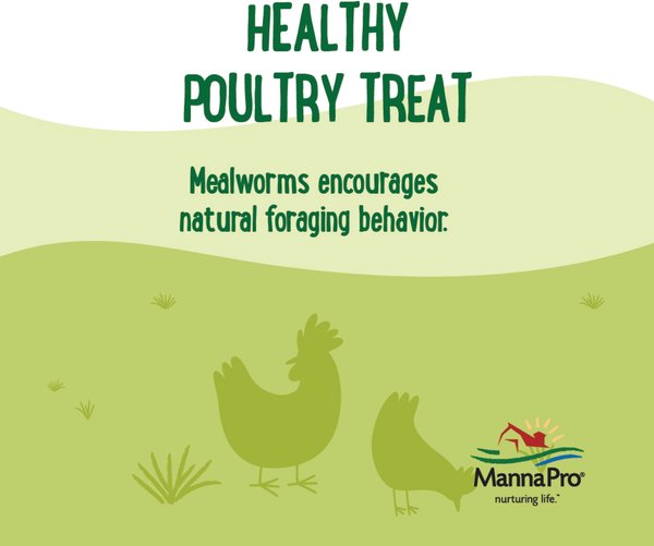 Show full view: Manna Pro Farmhouse Favorites Mealworms Chicken Treats, 10-oz bag slide 4 of 7