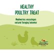 Show in main carousel: Manna Pro Farmhouse Favorites Mealworms Chicken Treats, 10-oz bag slide 4 of 7