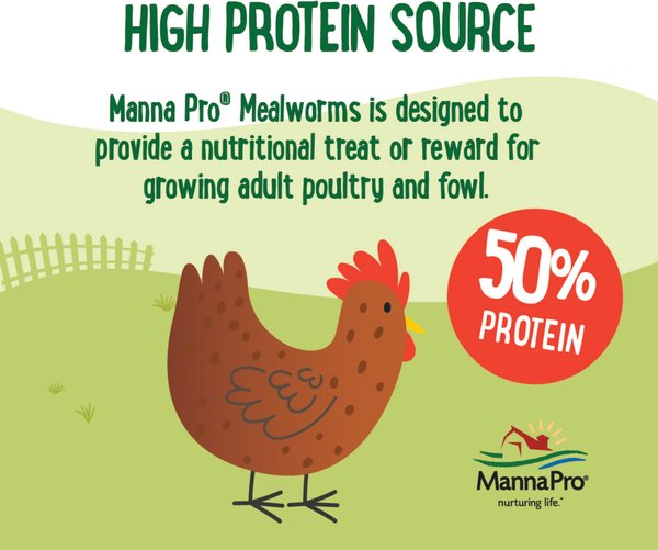 Show full view: Manna Pro Farmhouse Favorites Mealworms Chicken Treats, 10-oz bag slide 3 of 7