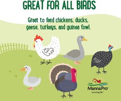 Manna Pro Farmhouse Favorites Mealworms Chicken Treats, 2-lb bag slide 2 of 7