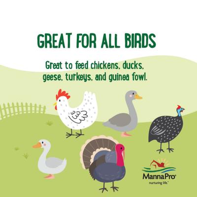 Show full view: Manna Pro Farmhouse Favorites Mealworms Chicken Treats, 2-lb bag slide 5 of 7