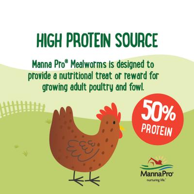 Show full view: Manna Pro Farmhouse Favorites Mealworms Chicken Treats, 2-lb bag slide 3 of 7