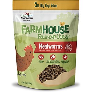 Manna Pro Farmhouse Favorites Mealworms Chicken Treats, 5-lb bag