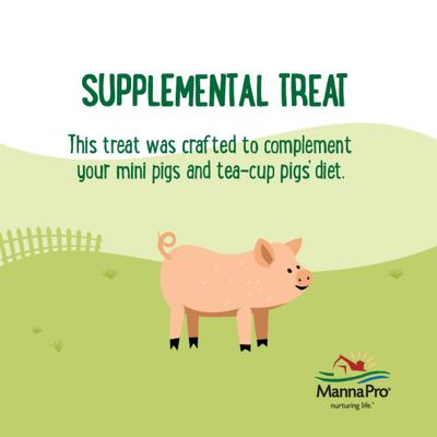 Show full view: Manna Pro Farmhouse Favorites Mini Pig Treats, 3-lb bag slide 5 of 8