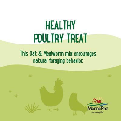 Show full view: Manna Pro Farmhouse Favorites Oat & Mealworm Mix Chicken Treats, 2-lb bag slide 4 of 7