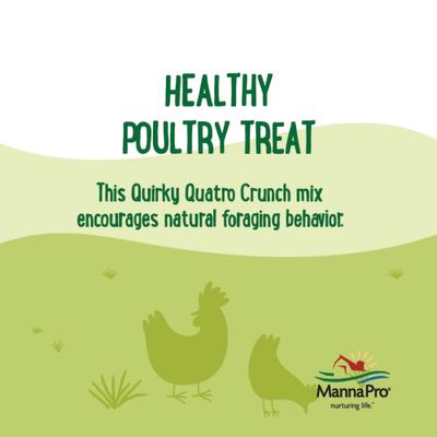 Show full view: Manna Pro Farmhouse Favorites Quirky Quatro Crunch Chicken Treats, 2-lb bag slide 4 of 7