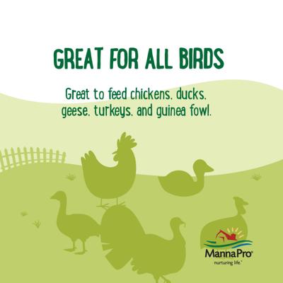 Show full view: Manna Pro Farmhouse Favorites Sunflower & Mealworm Coop Cake Chicken Treats, 6-oz bag slide 4 of 8