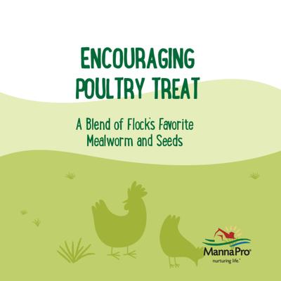 Show full view: Manna Pro Farmhouse Favorites Sunflower & Mealworm Coop Cake Chicken Treats, 6-oz bag slide 3 of 8