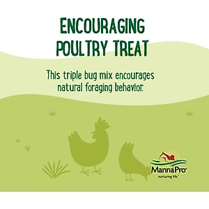 Manna Pro Farmhouse Favorites Triple Bug Mix Chicken Treats, 2-lb bag