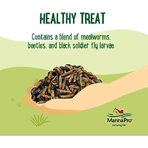 Manna Pro Farmhouse Favorites Triple Bug Mix Chicken Treats, 2-lb bag