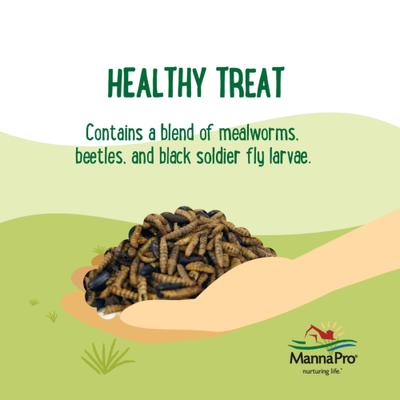 Show full view: Manna Pro Farmhouse Favorites Triple Bug Mix Chicken Treats, 2-lb bag slide 5 of 8