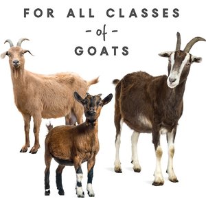 Manna Pro Goat Mineral Powder Supplement, 8-lb bag