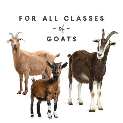 Show full view: Manna Pro Goat Mineral Powder Supplement, 8-lb bag slide 4 of 8