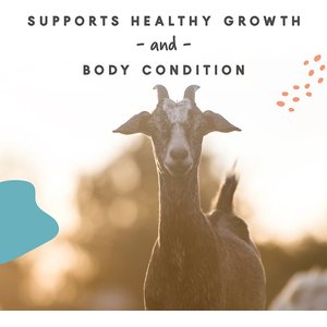 Manna Pro Goat Mineral Powder Supplement, 8-lb bag