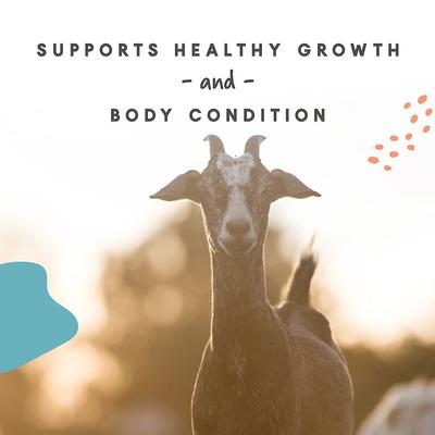 Show full view: Manna Pro Goat Mineral Powder Supplement, 8-lb bag slide 5 of 8