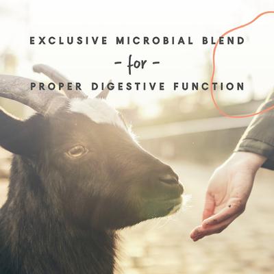 Show full view: Manna Pro Goat Mineral Powder Supplement, 8-lb bag slide 6 of 8