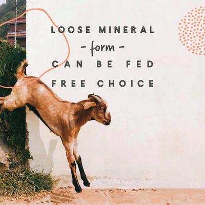 Show full view: Manna Pro Goat Mineral Powder Supplement, 8-lb bag slide 7 of 8