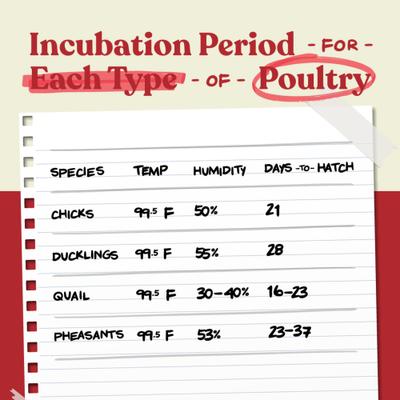 Show full view: Manna Pro Harris Farms Nurture Right Incubator slide 9 of 10