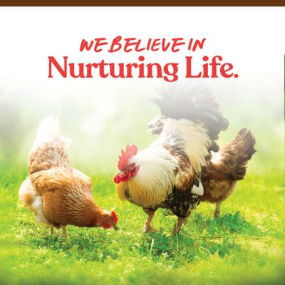 Show full view: Manna Pro Harvest Delight Chicken Treat, 2.25-lb bag slide 8 of 10