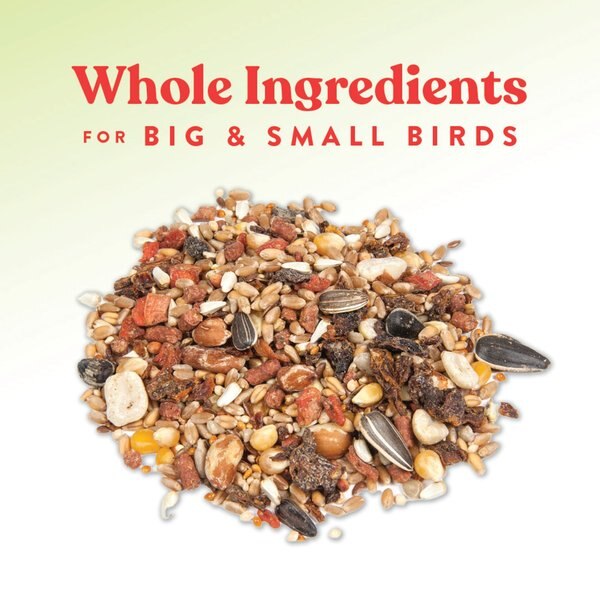 Sunseed Crazy Good Cookin' Nutty Noodle Cookable Bird Treat, 2.25-lb bag