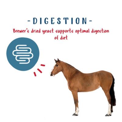 Show full view: Manna Pro Horse-Manna Nutrition Enhancement Performance Supplement for Horses, 20-lb bag slide 5 of 6