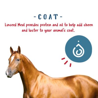 Show full view: Manna Pro Horse-Manna Nutrition Enhancement Performance Supplement for Horses, 20-lb bag slide 4 of 6