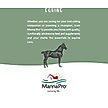 Show in main carousel: Manna Pro Max-E-Glo Stabilized Rice Bran Meal Granules Horse Supplement, 40-lb bag slide 5 of 9
