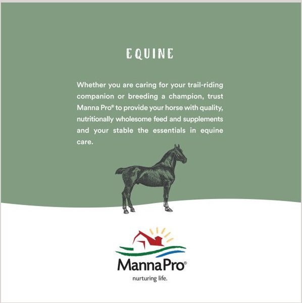 Manna Pro Horseman's Dream Aloe Vera Veterinary Horse Cream, 16-fl oz bottle