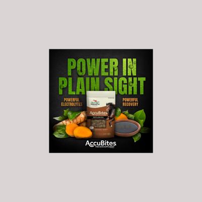 Show full view: Manna Pro MP Accubites Replenish Equine Horse Supplement, 1.6-lb bag slide 3 of 7