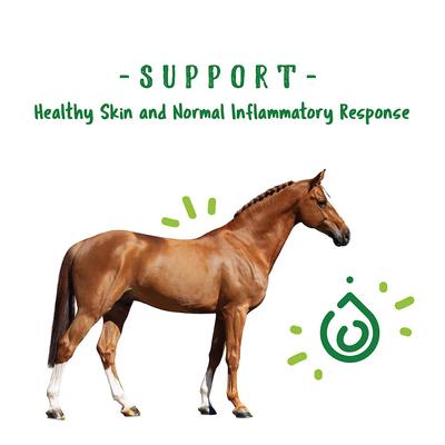 Show full view: Manna Pro Nature's Force Bug Clear Horse Insect Repellent, 2-lb pail slide 6 of 8