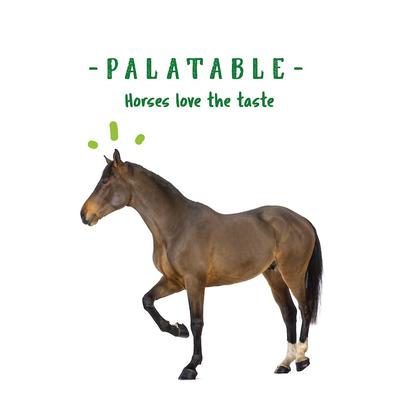 Show full view: Manna Pro Nature's Force Bug Clear Horse Insect Repellent, 2-lb pail slide 7 of 8