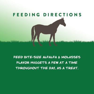 Show full view: Manna Pro Nuggets Bite-Size Alfalfa & Molasses Flavored Horse Training Treats, 1-lb bag slide 8 of 11