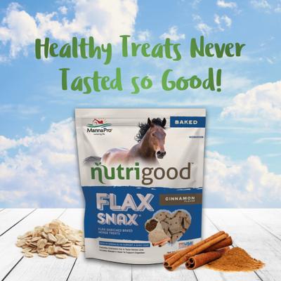 Show full view: Manna Pro Nutrigood FlaxSnax Omega 3 Skin & Coat Baked Horse Treats, 3.2-lb bag slide 6 of 7