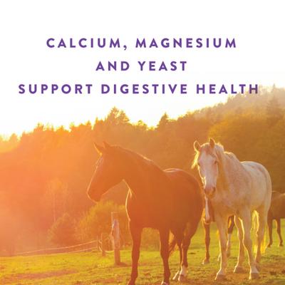 Show full view: Manna Pro Omega Weight & Digestive Pellet Senior Horse Supplement, 8-lb bag slide 5 of 6