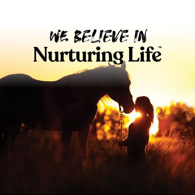 Show full view: Manna Pro Peppermint flavored Wafers Horse Treats, 20-lb bag slide 6 of 8