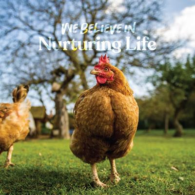 Show full view: Manna Pro Poultry Grit Supplement, 25-lb bag slide 7 of 8