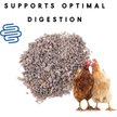 Show in main carousel: Manna Pro Poultry Grit Supplement, 25-lb bag slide 5 of 8