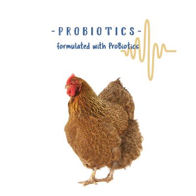 Show full view: Manna Pro Poultry Grit with Probiotics Chicken Food, 5-lb bag slide 5 of 11