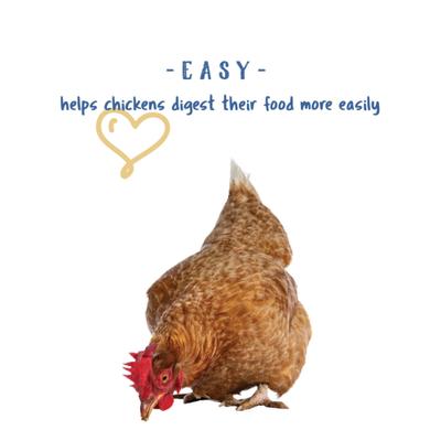 Show full view: Manna Pro Poultry Grit with Probiotics Chicken Food, 5-lb bag slide 4 of 11