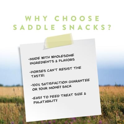 Show full view: Manna Pro Saddle Snacks Apple Flavored Pellet Horse Treats, 18-lb bag slide 5 of 8