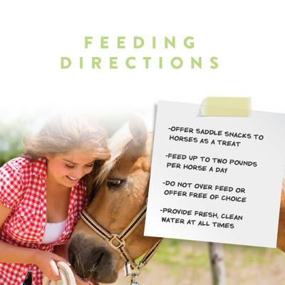 Show full view: Manna Pro Saddle Snacks Apple Flavored Pellet Horse Treats, 18-lb bag slide 6 of 8