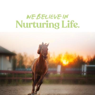 Show full view: Manna Pro Saddle Snacks Apple Flavored Pellet Horse Treats, 18-lb bag slide 7 of 8