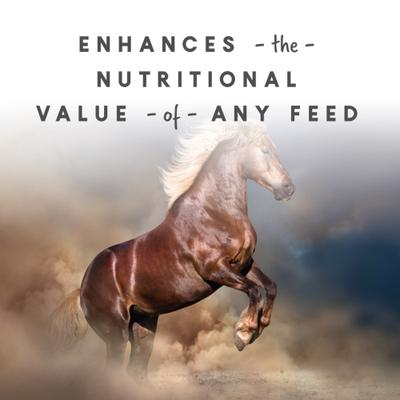 Show full view: Manna Pro Sho-Glo Complete Vitamin & Mineral Pellets Horse Supplement, 25-lb bag slide 3 of 9