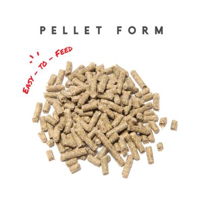 Show full view: Manna Pro Sho-Glo Complete Vitamin & Mineral Pellets Horse Supplement, 25-lb bag slide 7 of 9