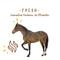 Show in main carousel: Manna Pro Simply Flax Skin & Coat Horse Supplement, 8-lb bag slide 6 of 9