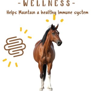Manna Pro Simply Flax Skin & Coat Horse Supplement, 8-lb bag