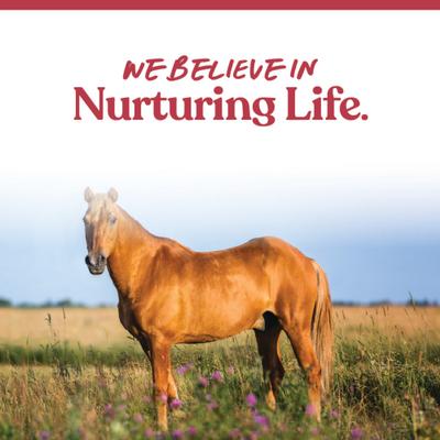 Show full view: Manna Pro Weight Accelerator Senior Horse Supplement, 8-lb bag slide 7 of 9