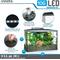 Show in main carousel: Marina 10G LED Aquarium Kit, 10-gal slide 5 of 10
