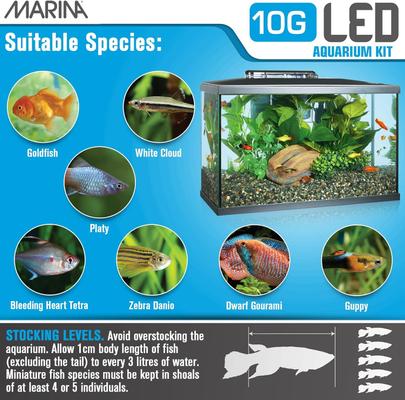 Show full view: Marina 10G LED Aquarium Kit, 10-gal slide 8 of 10