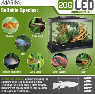Show full view: Marina LED Aquarium Kit, 20-gal slide 9 of 11